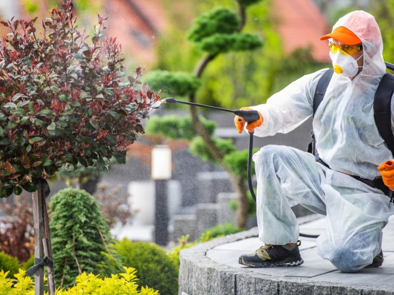 Han Haşere İlaçlama